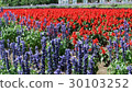 Wide flower garden 30103252