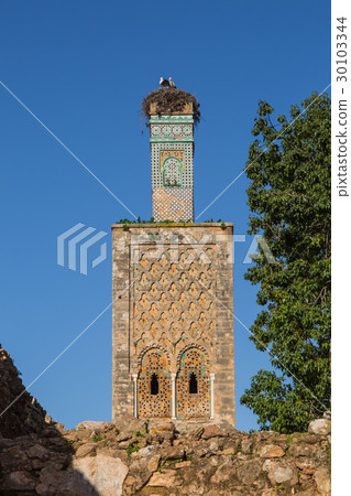 Chellah sanctuary in Rabat, Morocco 30103344