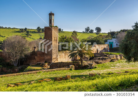 Chellah sanctuary in Rabat, Morocco 30103354