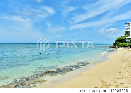 夏威夷的假期 夏威夷的假期 30103508