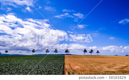 Japan · Hokkaido · Exquisite hill of fairy tale 30103829
