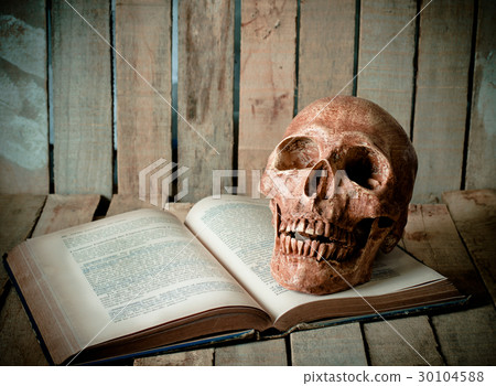 Deer skull on books on a wooden floor. Deer skull on books on a wooden floor. 30104588
