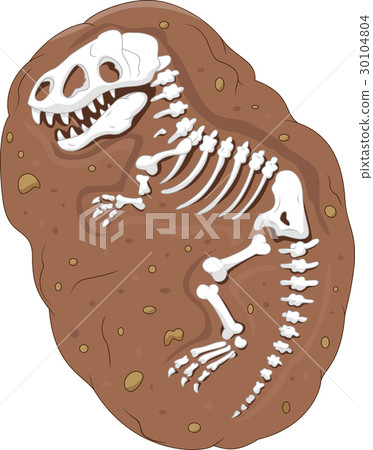 Cartoon Tyrannosaurus rex fossil 30104804