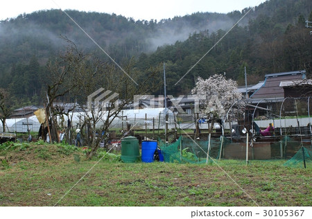 It is the state of the field of the satoyama at the end of the rain It is the state of the field of the satoyama at the end of the rain 30105367