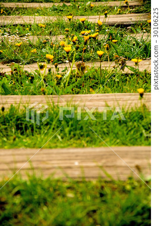 rails out of order with flowers rails out of order with flowers 30106225