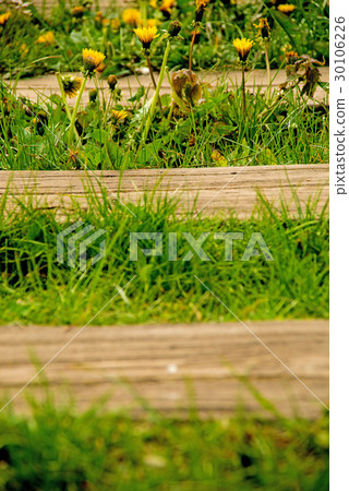 rails out of order with flowers rails out of order with flowers 30106226