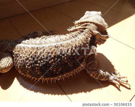 Rear view behind 30106833