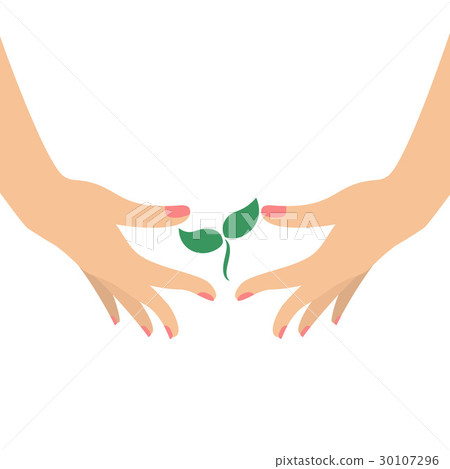 Hands holding green plant Hands holding green plant 30107296