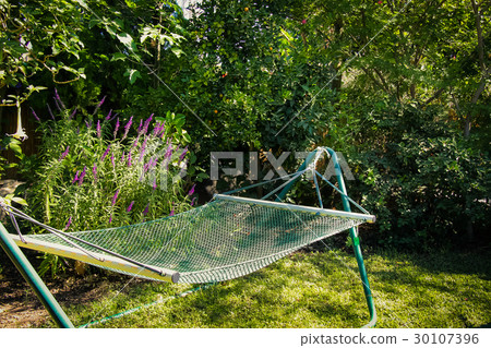 Hammock in green garden 30107396