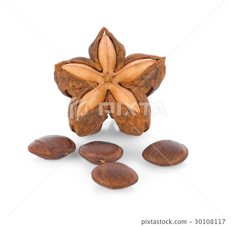 sacha inchi peanut seed on white background sacha inchi peanut seed on white background 30108117