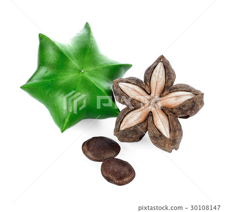 sacha inchi on white background sacha inchi on white background 30108147