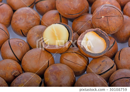 macadamia nut on a white background 30108759