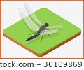 dragonfly vector eps 30109869