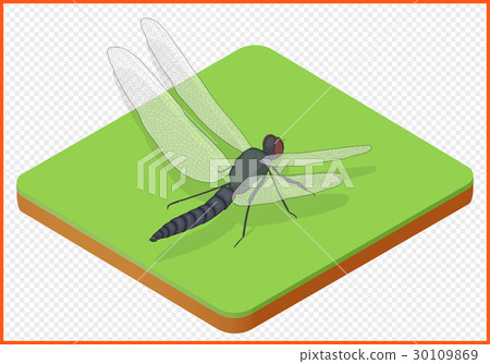 dragonfly vector eps 30109869