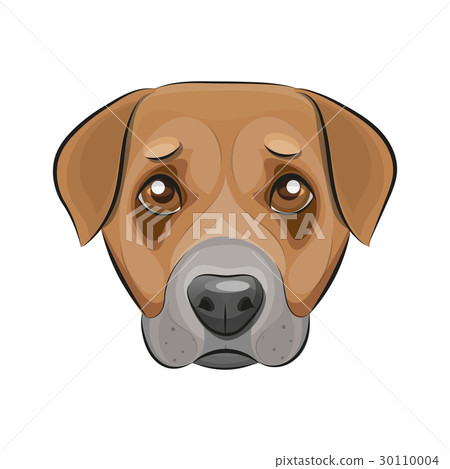 Cute Dog Logo 30110004