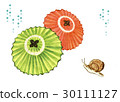 Umbrella and Snail Umbrella and Snail 30111127