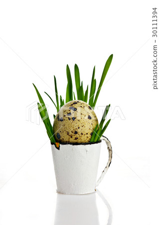 egg in a bucket egg in a bucket 30111394