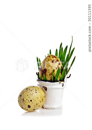 egg in a bucket egg in a bucket 30111395