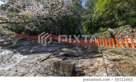 Spring Kamikura Shrine 30111663