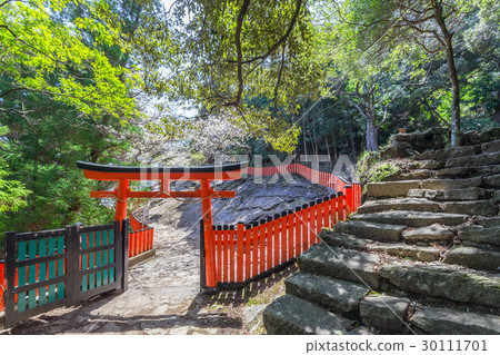 春天神倉 30111701