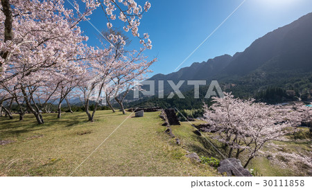 Akagi Castle Ruins of Spring 30111858