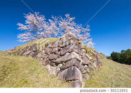 Akagi Castle Ruins of Spring Akagi Castle Ruins of Spring 30111931