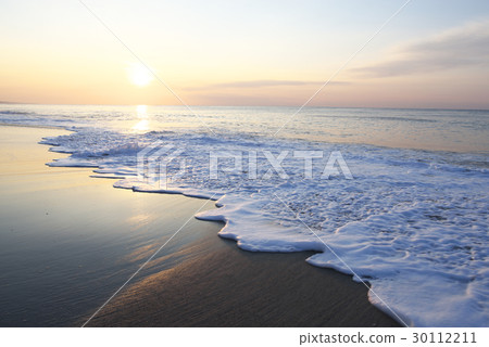 Sea of morning glow (Aichi - Atsumi Peninsula) Irago, Pacific Long Beach 30112211