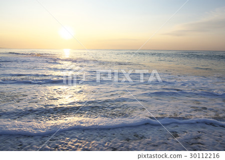 Sea of morning glow (Aichi - Atsumi Peninsula) Irago, Pacific Long Beach 30112216