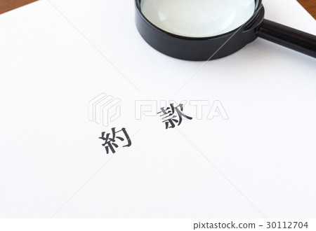 Terms and Conditions Agreement Contract Terms 30112704