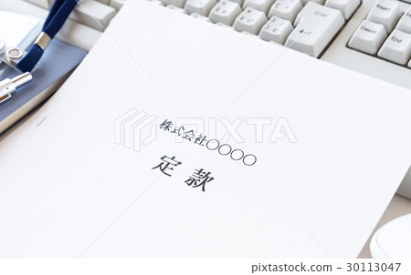 公司章程成立了商業公司 30113047