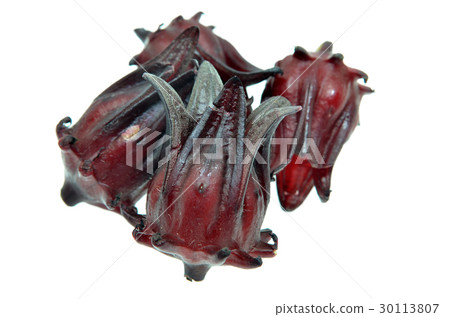 Hibiscus sabdariffa or roselle fruits Hibiscus sabdariffa or roselle fruits 30113807