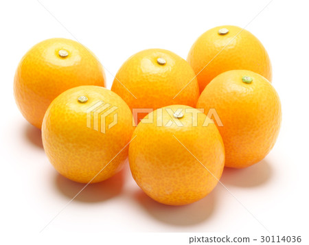 Kinkan (Tamazama from Miyazaki Prefecture) 30114036