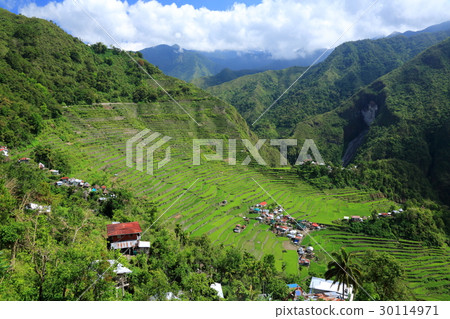 Rice paddy fields of Cordillera 30114971