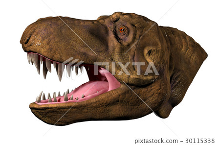 暴龍'斯坦'在頭頂 30115338