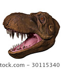 Tyrannosaurus "Stan" diagonally across the head 30115340