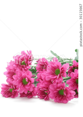 紅紫色噴霧媽媽 30115667