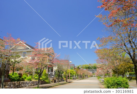 山茱萸溪鎮3 30116981