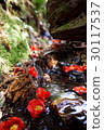 Natural water basin 30117537