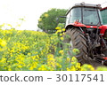 farm 30117541