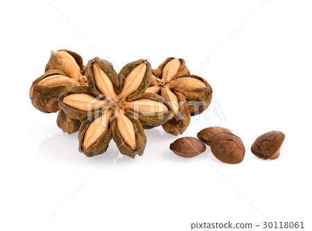 sacha inchi isolated on white background sacha inchi isolated on white background 30118061