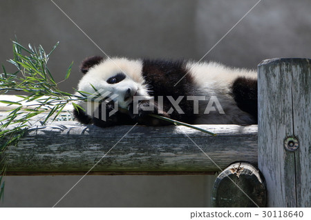這是滾動下來 30118640