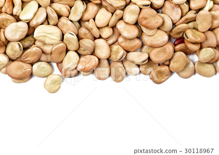 Dried broad beans space for text 30118967