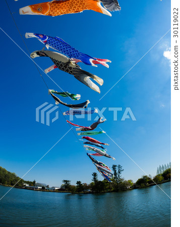 Koi swimming in blue sky 30119022