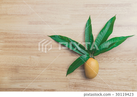 Mango on a wood background Mango on a wood background 30119423