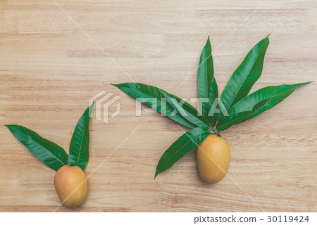Mango on a wood background Mango on a wood background 30119424