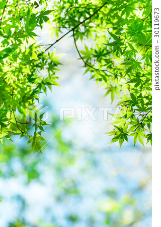 新的綠色形象 新的綠色形象 30119673