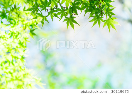 新的綠色形象 新的綠色形象 30119675