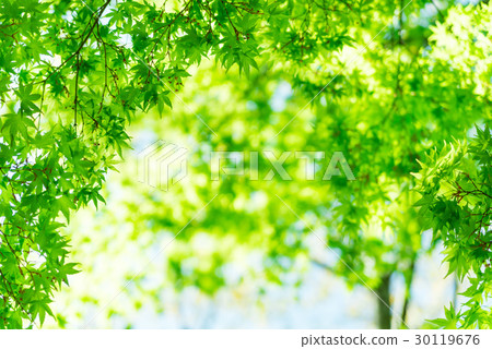 新的綠色形象 新的綠色形象 30119676