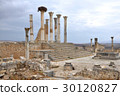 Volubilis 30120827