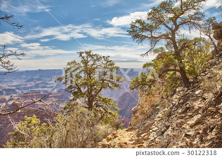 morning light sunrise at Grand Canyon, Arizona USA 30122318